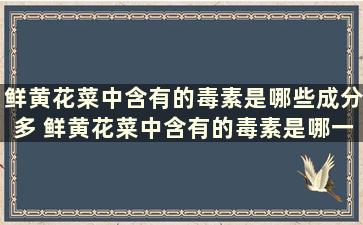 鲜黄花菜中含有的毒素是哪些成分多 鲜黄花菜中含有的毒素是哪一种